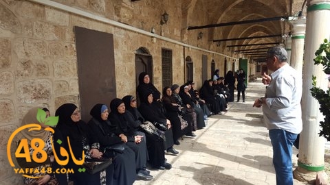 re7la shamal tamer (15).jpg